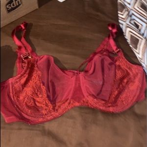 Mesh red bra